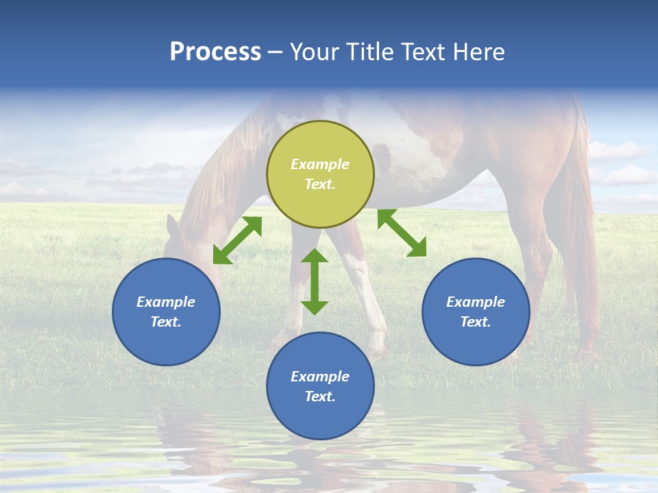 Beautiful Horses PowerPoint Template