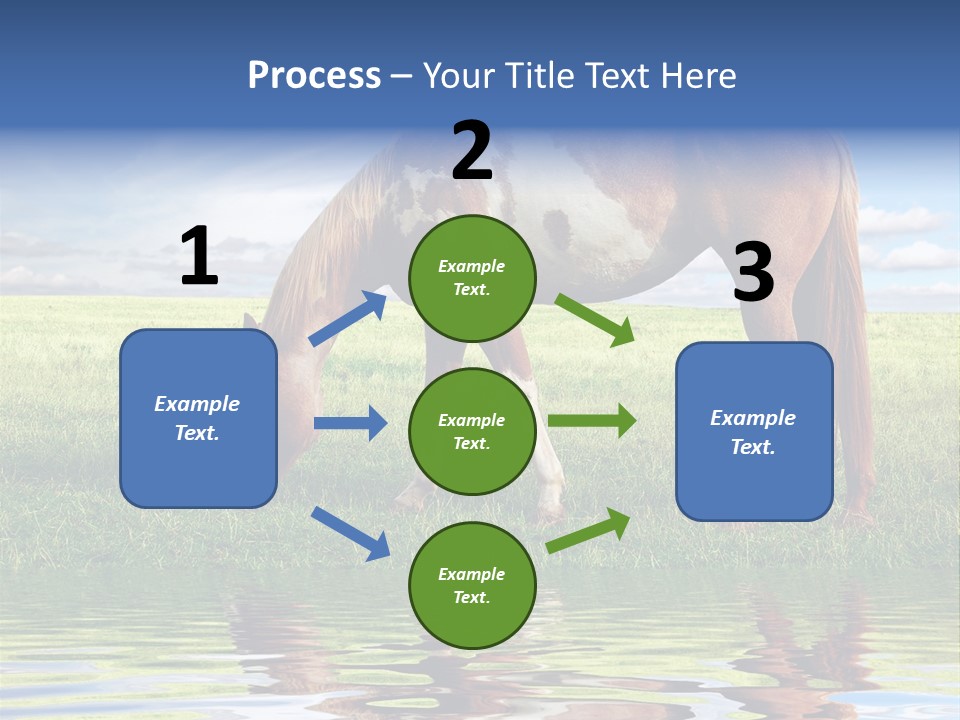 Beautiful Horses PowerPoint Template