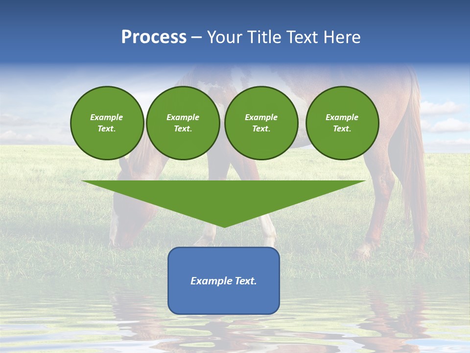 Beautiful Horses PowerPoint Template