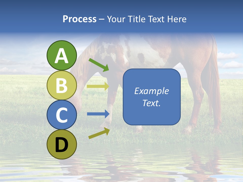 Beautiful Horses PowerPoint Template