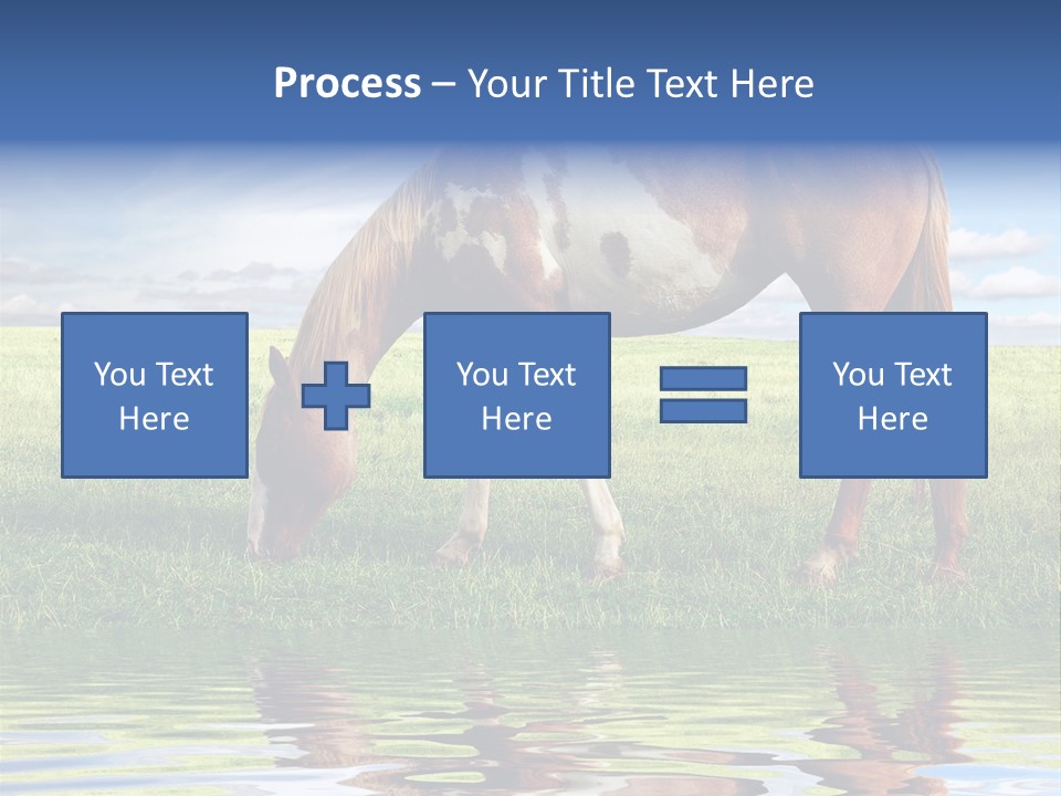 Beautiful Horses PowerPoint Template