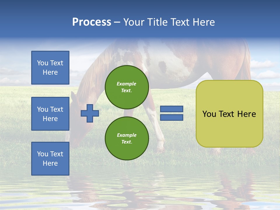 Beautiful Horses PowerPoint Template