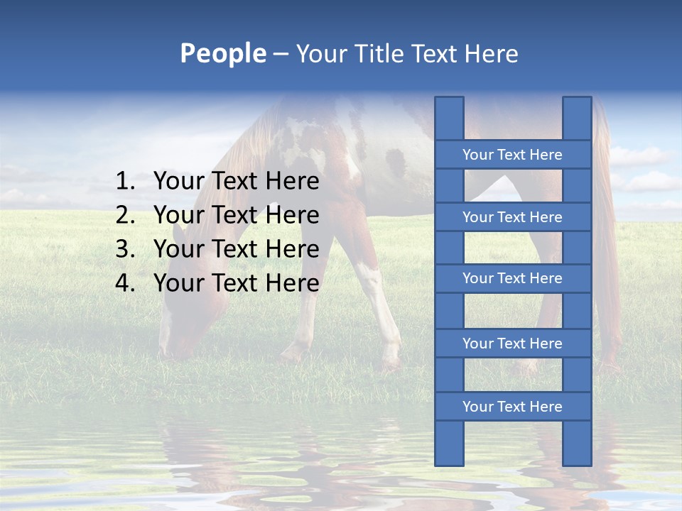 Beautiful Horses PowerPoint Template