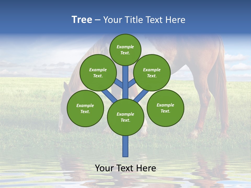 Beautiful Horses PowerPoint Template