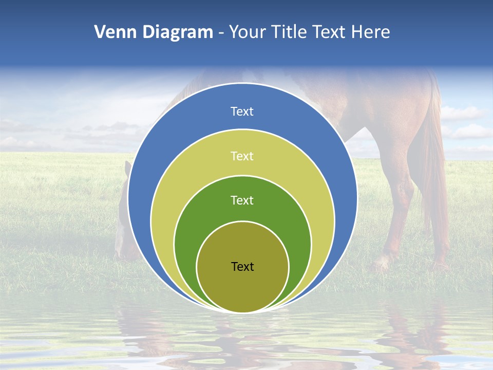 Beautiful Horses PowerPoint Template