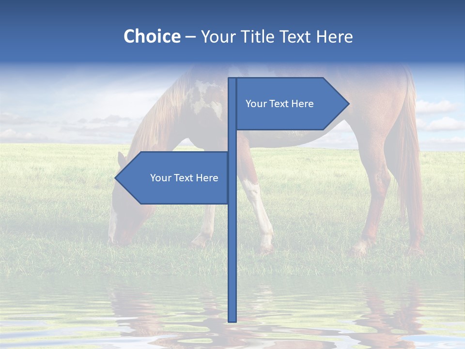 Beautiful Horses PowerPoint Template