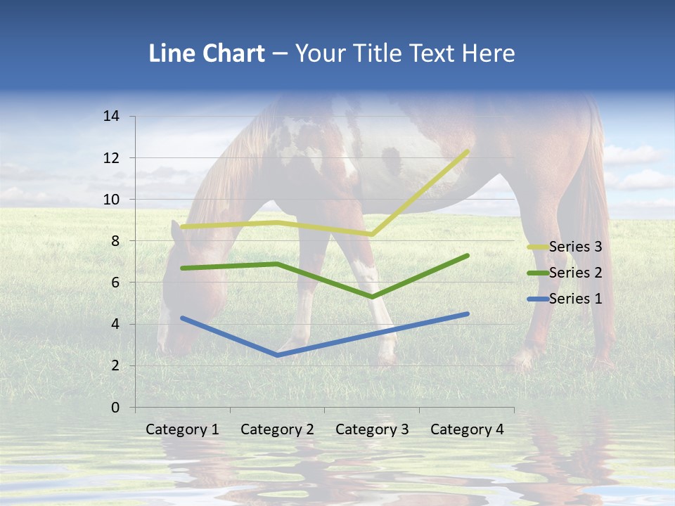 Beautiful Horses PowerPoint Template