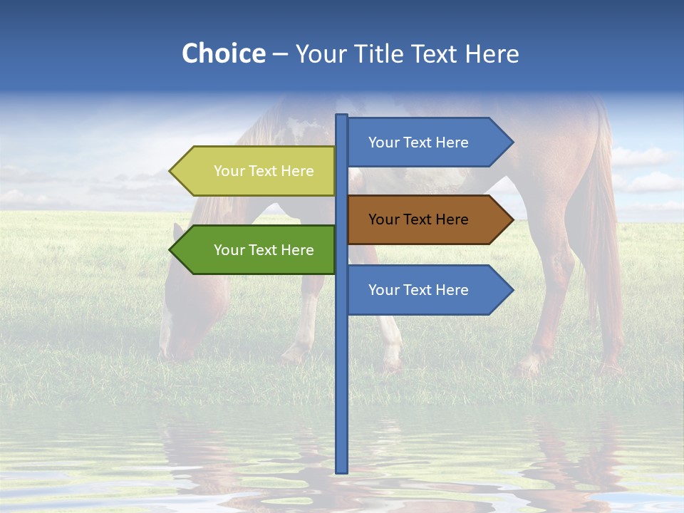 Beautiful Horses PowerPoint Template
