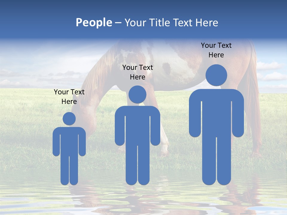 Beautiful Horses PowerPoint Template
