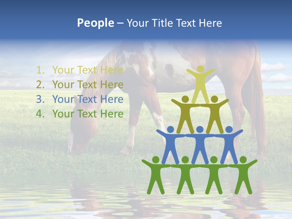 Beautiful Horses PowerPoint Template