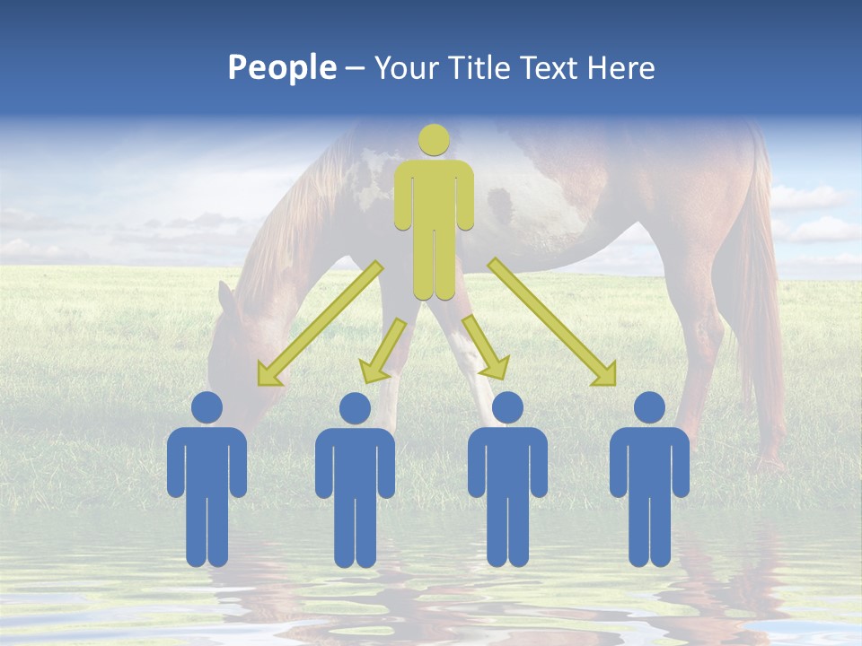 Beautiful Horses PowerPoint Template