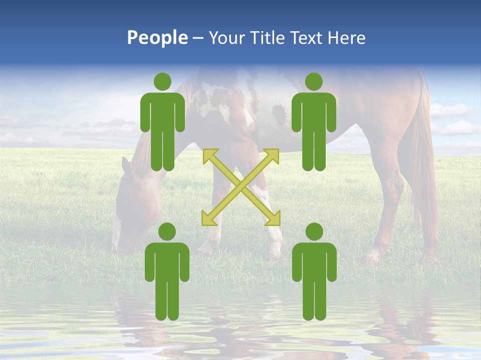 Beautiful Horses PowerPoint Template