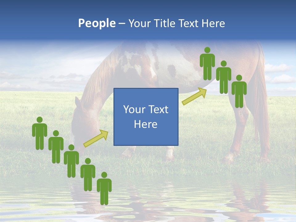 Beautiful Horses PowerPoint Template