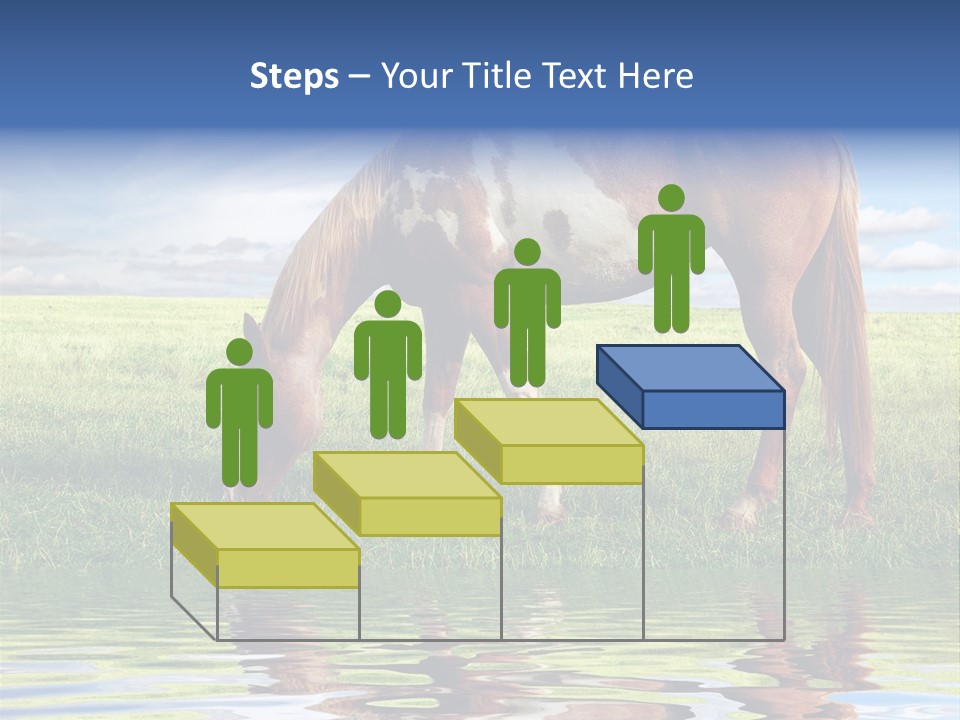 Beautiful Horses PowerPoint Template