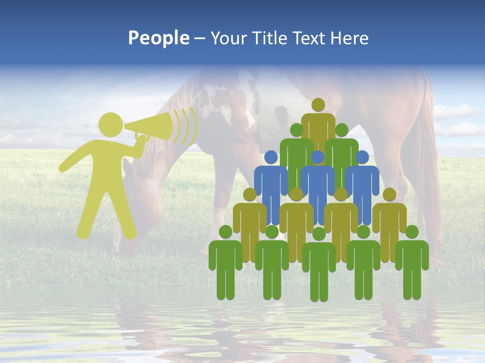 Beautiful Horses PowerPoint Template