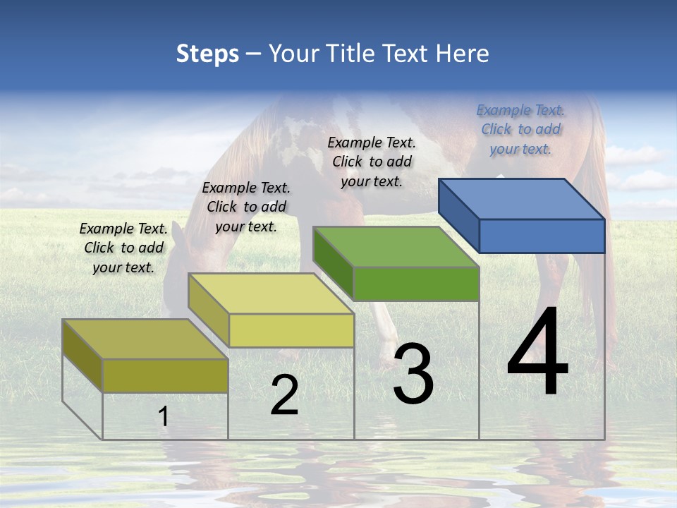 Beautiful Horses PowerPoint Template