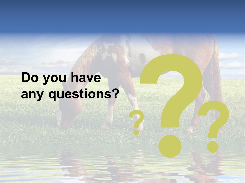 Beautiful Horses PowerPoint Template