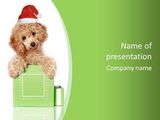 Christmas Dog PowerPoint Template