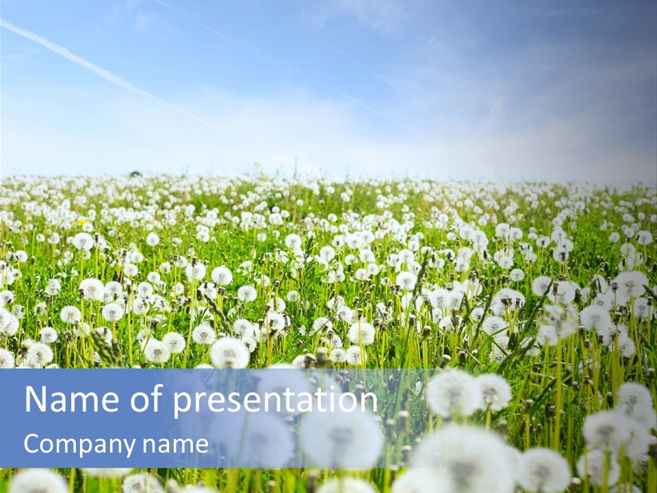 Campo Flores PowerPoint Template