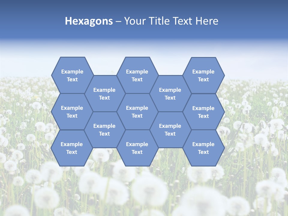 Campo Flores PowerPoint Template