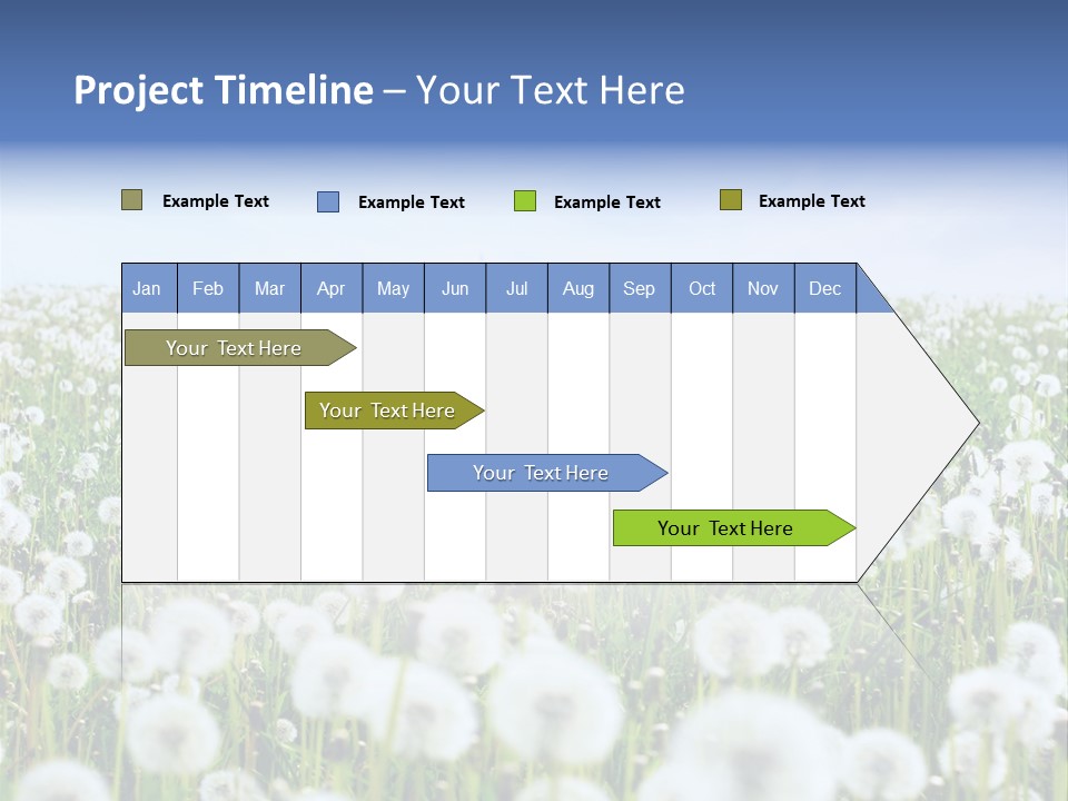 Campo Flores PowerPoint Template