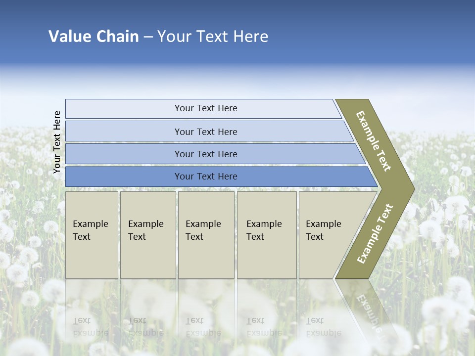 Campo Flores PowerPoint Template