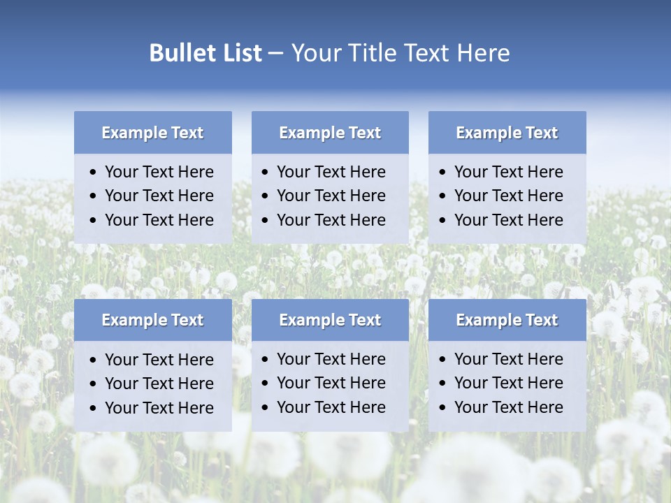 Campo Flores PowerPoint Template