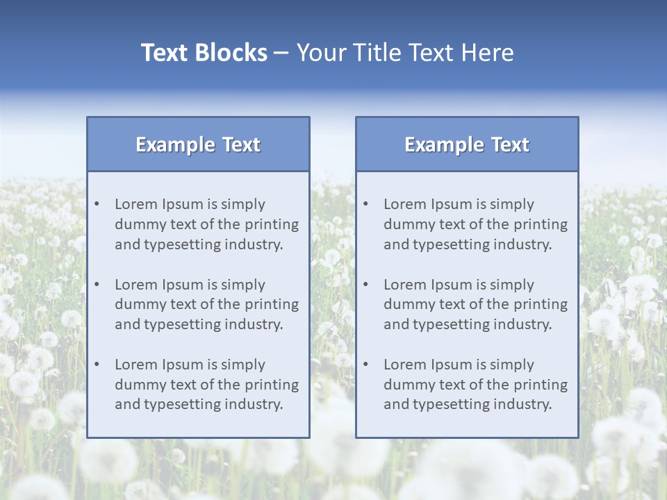 Campo Flores PowerPoint Template