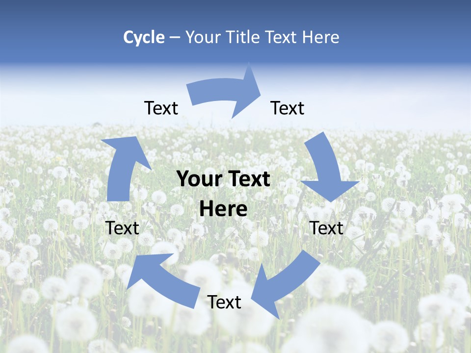Campo Flores PowerPoint Template
