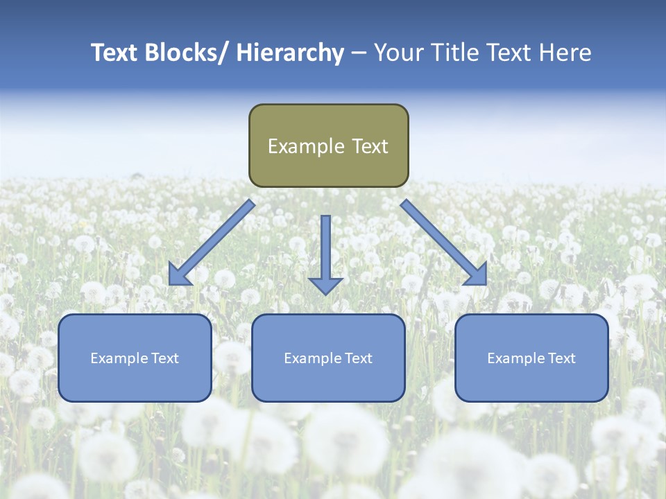 Campo Flores PowerPoint Template