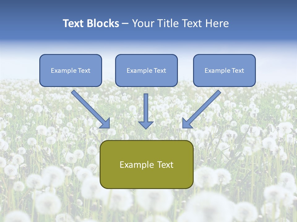 Campo Flores PowerPoint Template