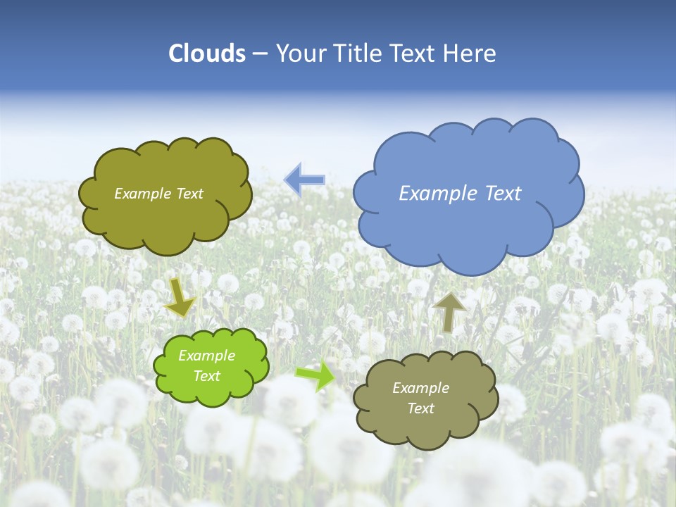 Campo Flores PowerPoint Template