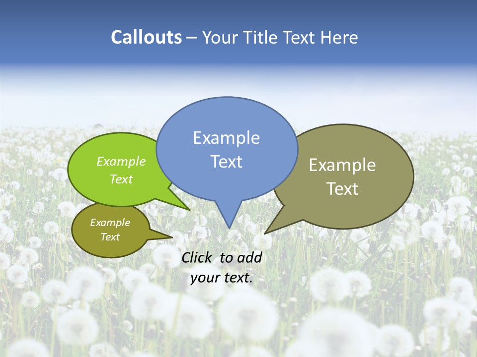 Campo Flores PowerPoint Template