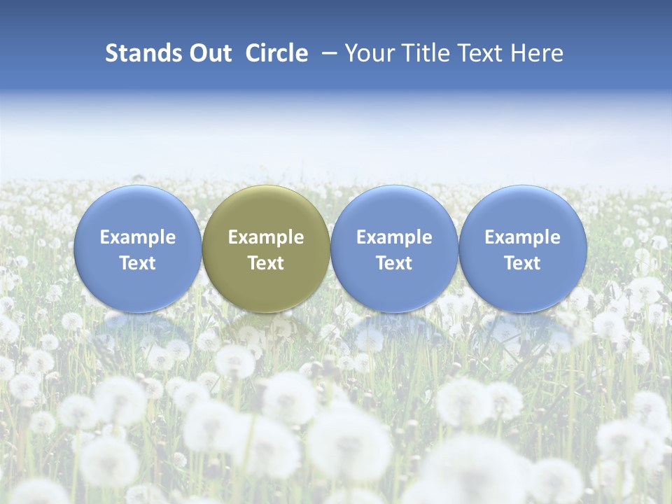 Campo Flores PowerPoint Template