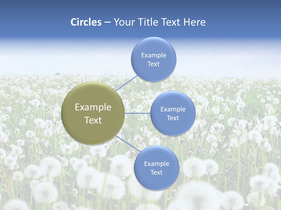 Campo Flores PowerPoint Template