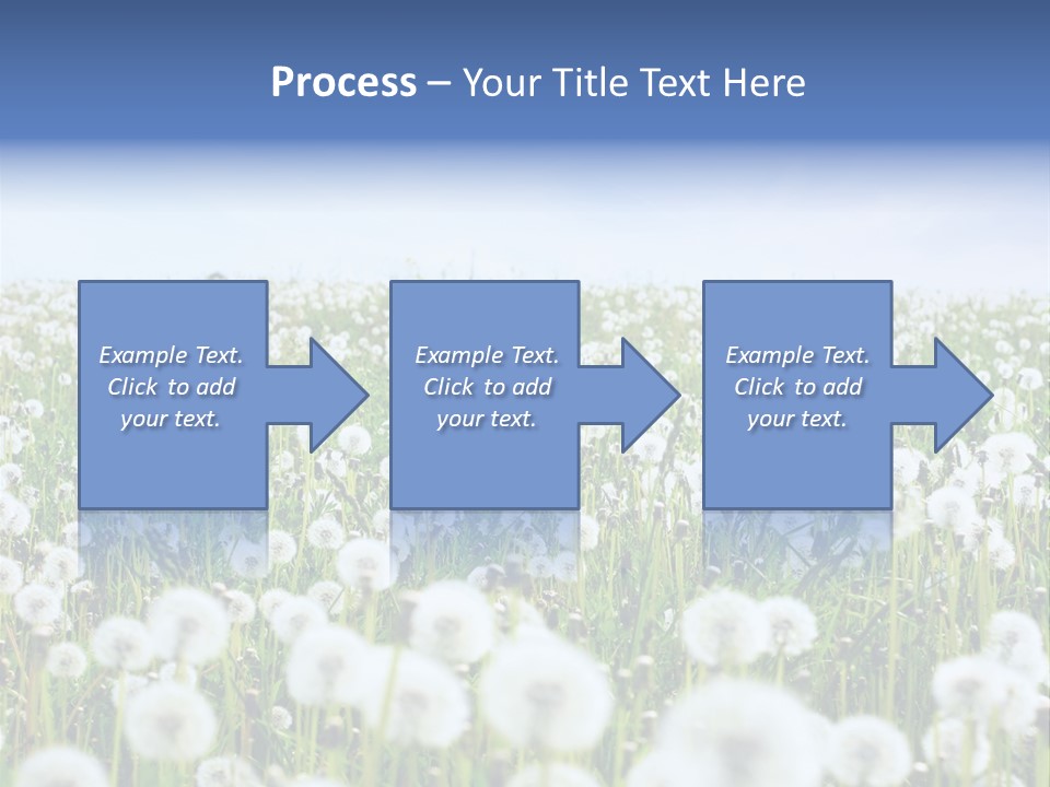 Campo Flores PowerPoint Template