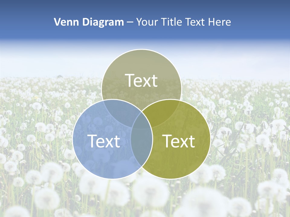 Campo Flores PowerPoint Template