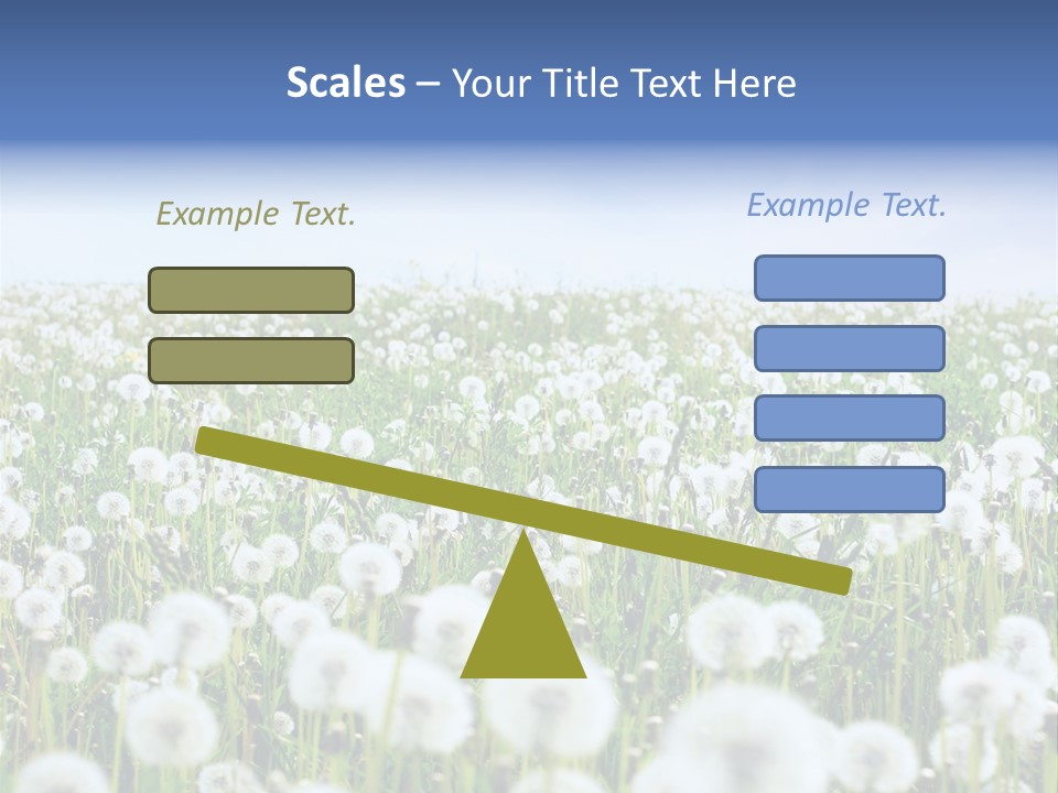 Campo Flores PowerPoint Template