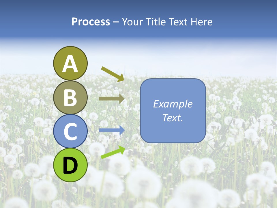 Campo Flores PowerPoint Template