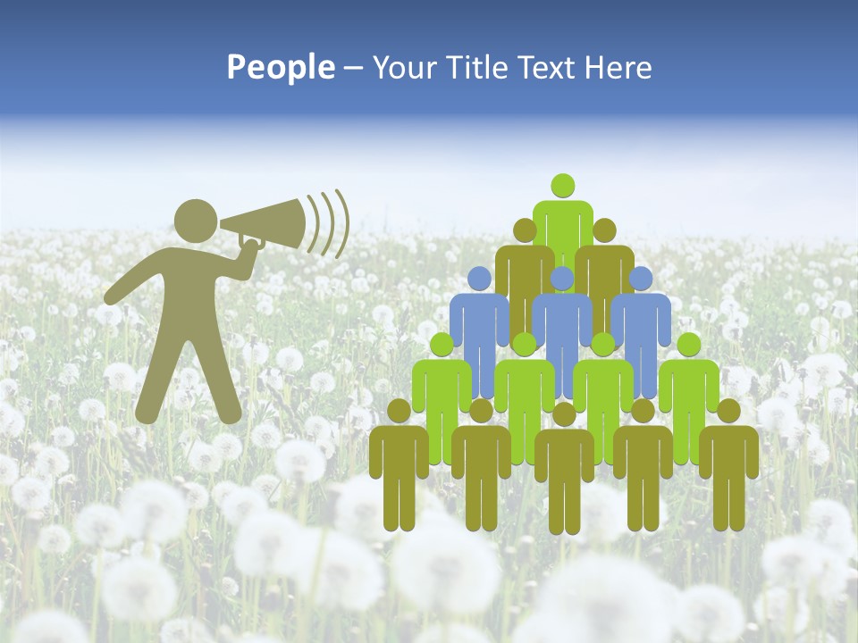 Campo Flores PowerPoint Template