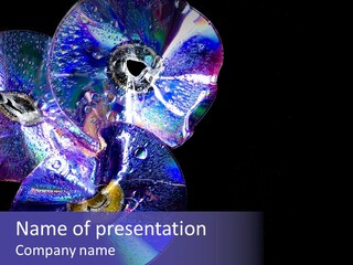 Drop Medium Colour PowerPoint Template