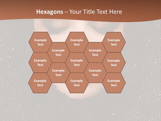 Caviar Treatment PowerPoint Template