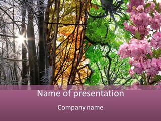 Summer Autumn Winter Spring PowerPoint Template