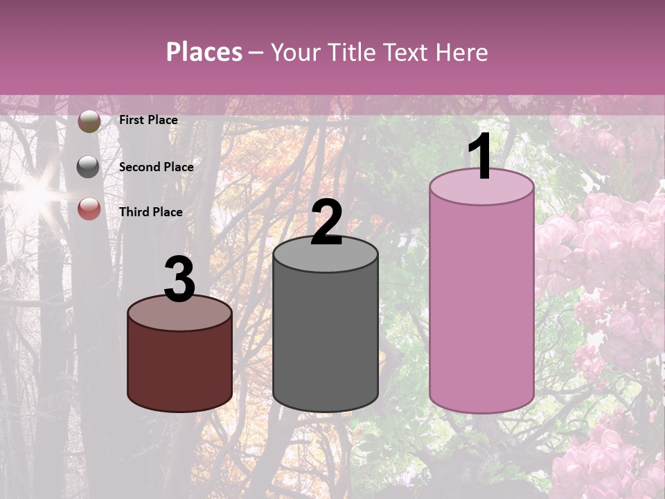 Summer Autumn Winter Spring PowerPoint Template