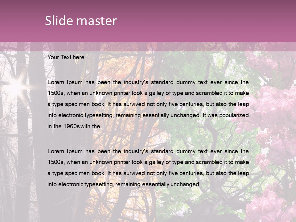 Summer Autumn Winter Spring PowerPoint Template