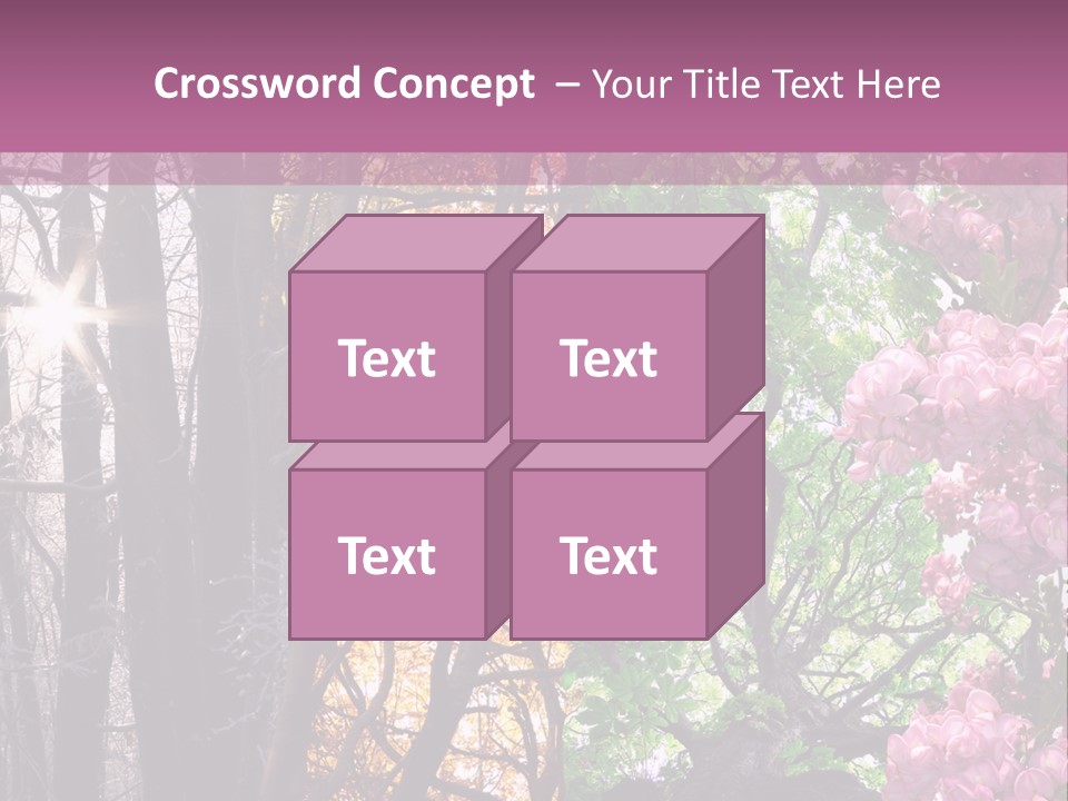 Summer Autumn Winter Spring PowerPoint Template