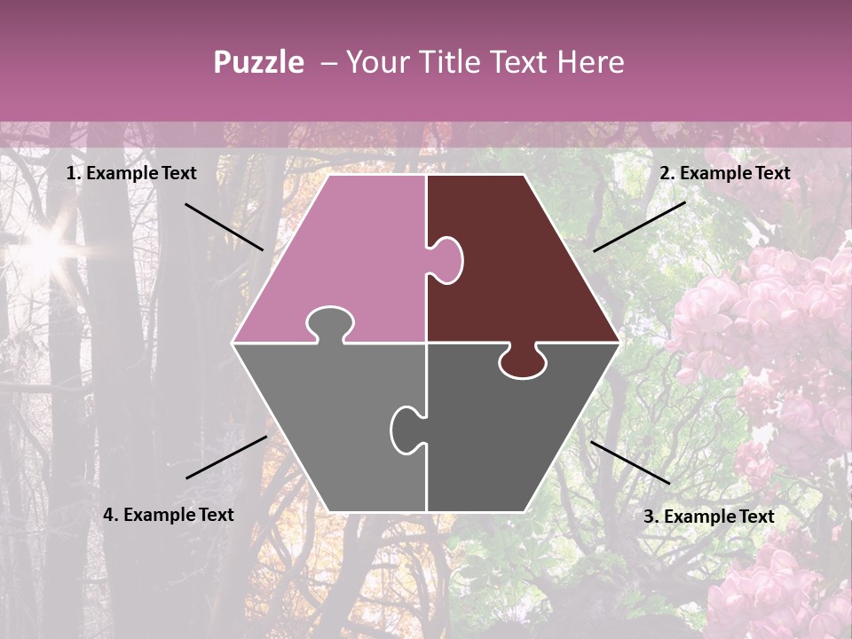 Summer Autumn Winter Spring PowerPoint Template