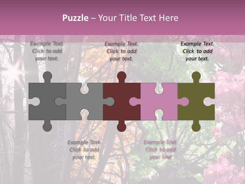 Summer Autumn Winter Spring PowerPoint Template