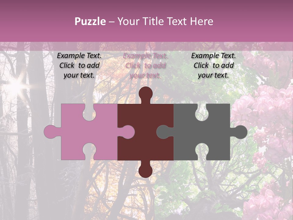 Summer Autumn Winter Spring PowerPoint Template