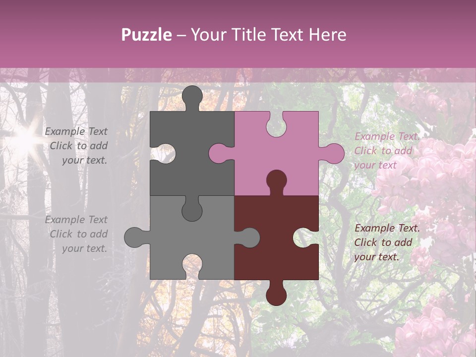 Summer Autumn Winter Spring PowerPoint Template